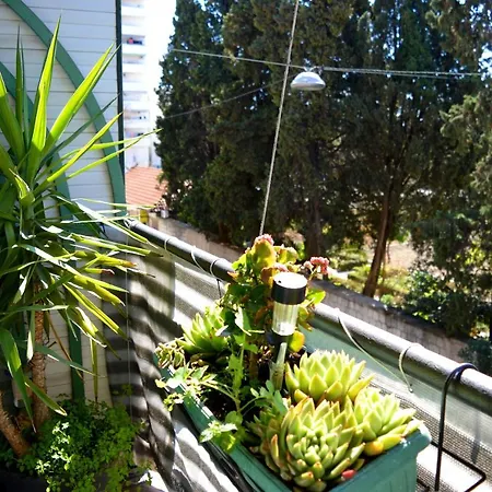 Apartman Spacious Center Split